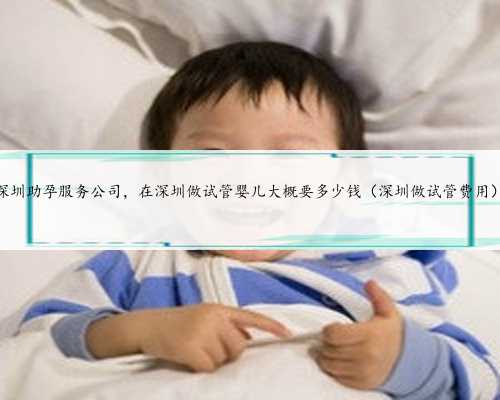 深圳助孕服务公司，在深圳做试管婴儿大概要